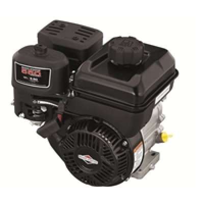 Двигатель Briggs&Stratton 550 0831