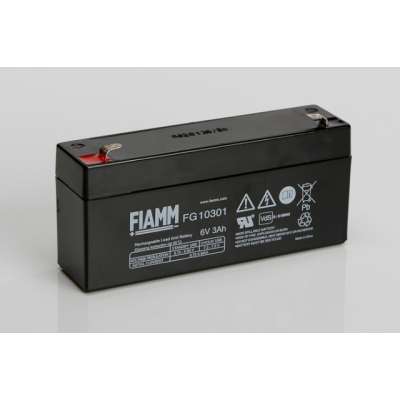 Аккумуляторная батарея Fiamm FG10301